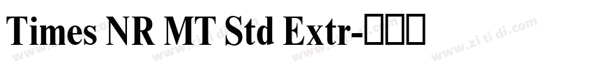 Times NR MT Std Extr字体转换